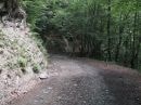 descente du col de Golèse